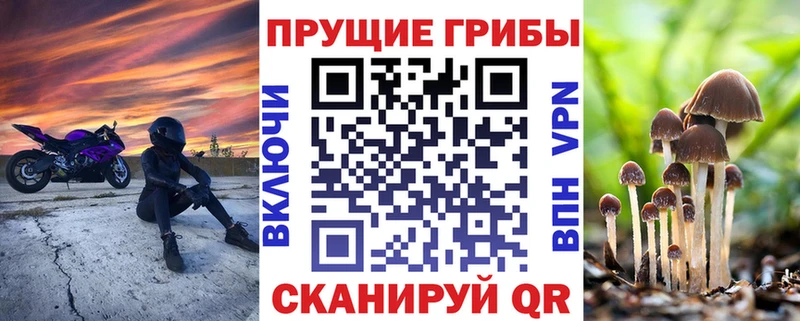 Галлюциногенные грибы Magic Shrooms  Липецк 